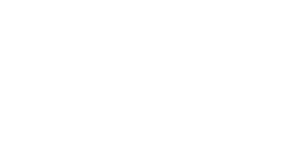 Fleat Network Official Logo.